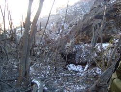 Bölücü inleri imha edildi